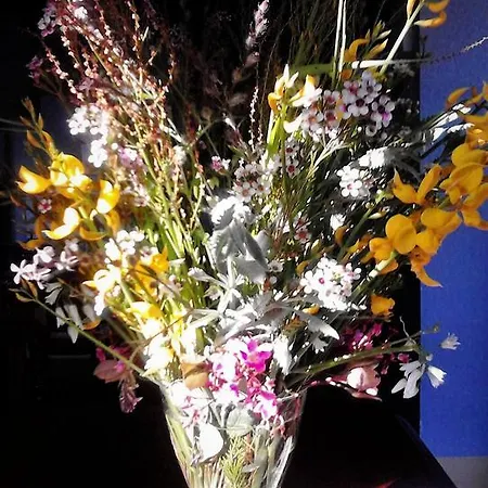 Bed & Breakfast Flora *